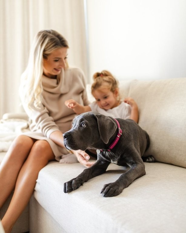 Hund på Linea Mare Hotel