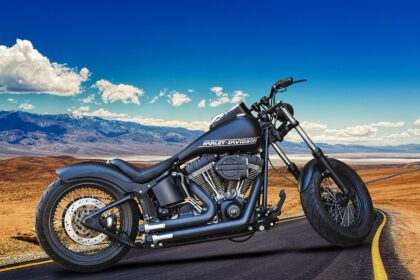 harley davidson problemer