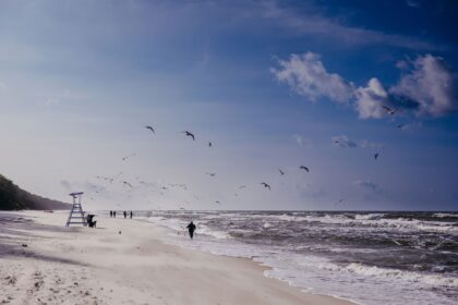 Vintervandringer ved havet Linea Mare