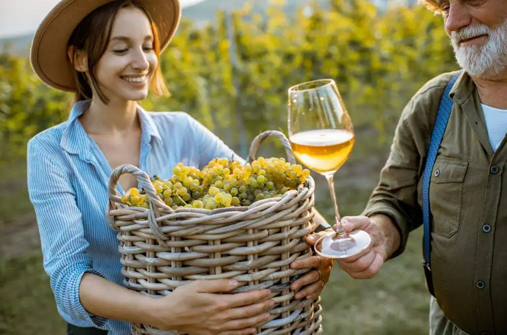 Digitalisering af vinmarkedet i Polen Teknologier Udfordringer og Fremtid