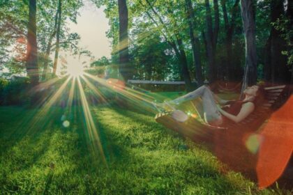 Parken ved Manor House