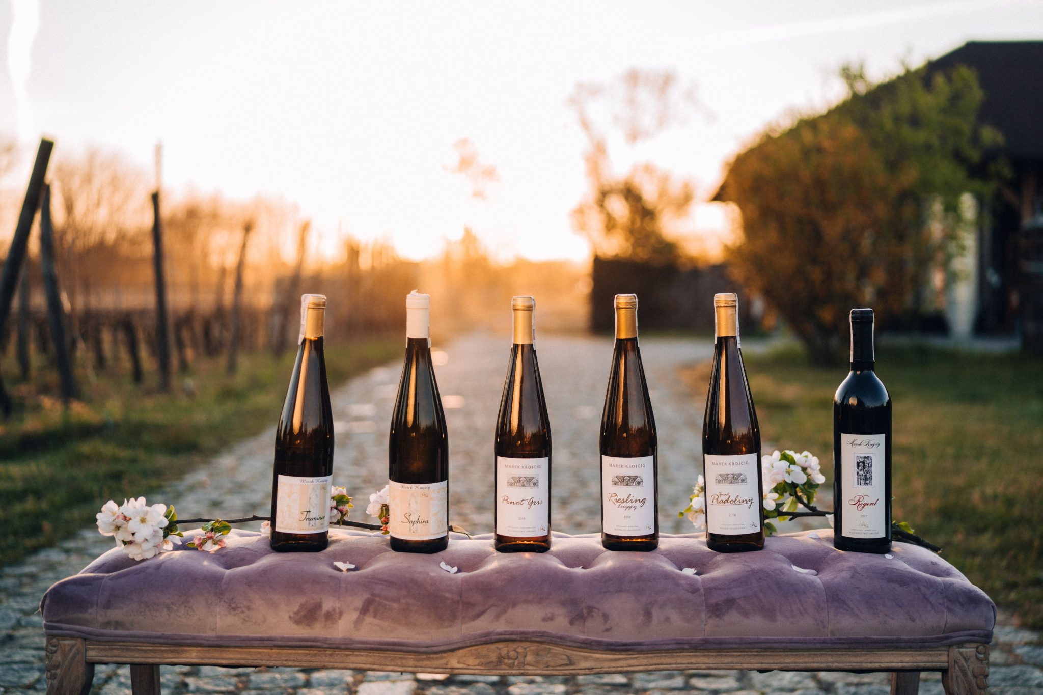 Ving&aring;rde i Zielona G&oacute;ra