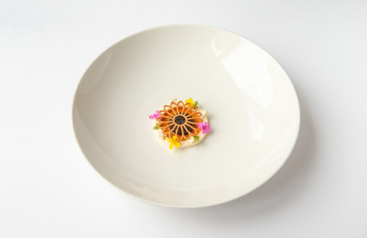 Polske Restauranter I Michelin-guiden