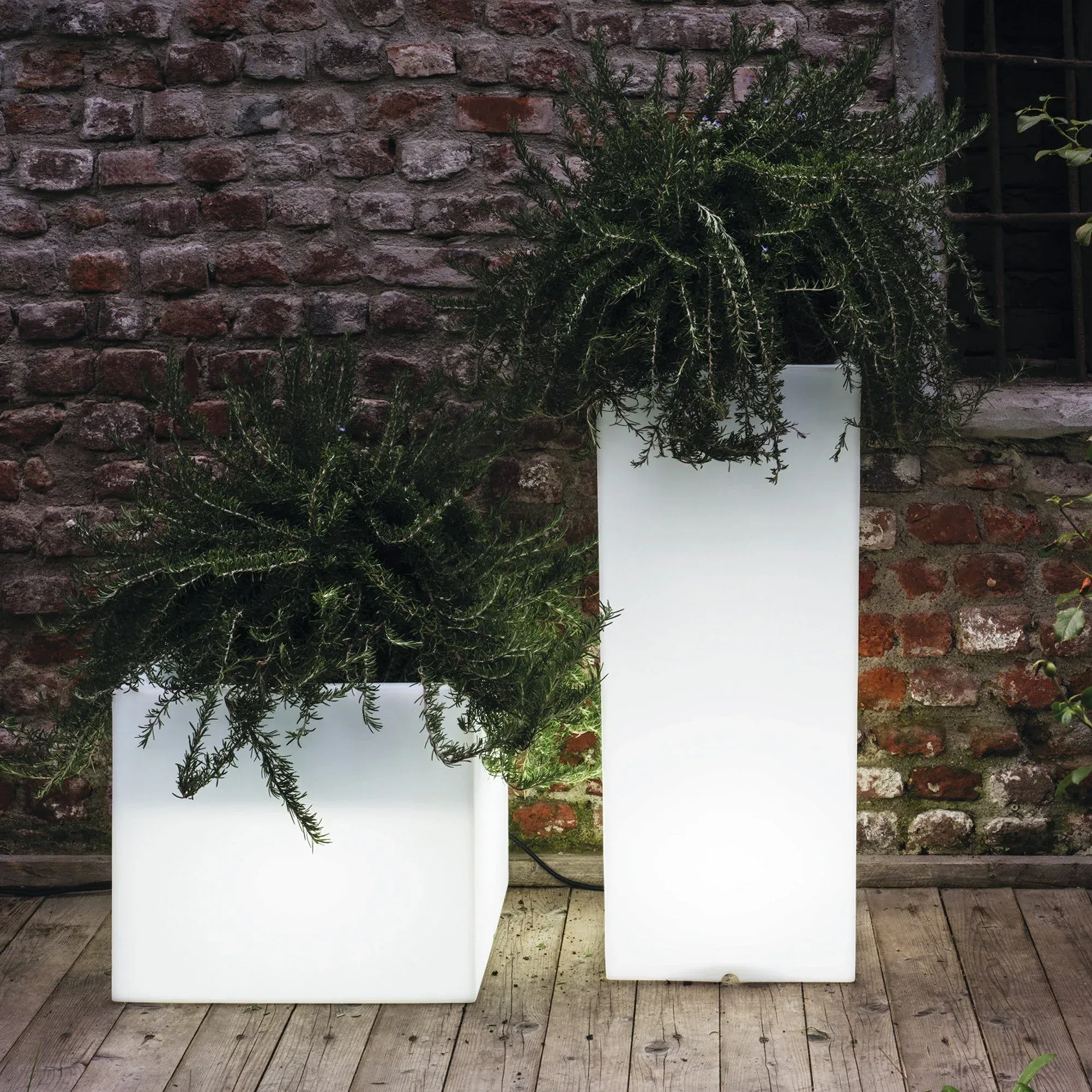 Xxl plantekasser