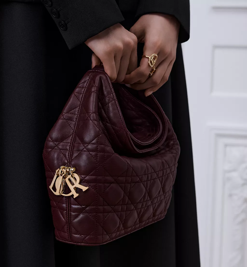 Bordeaux Dior Taske
