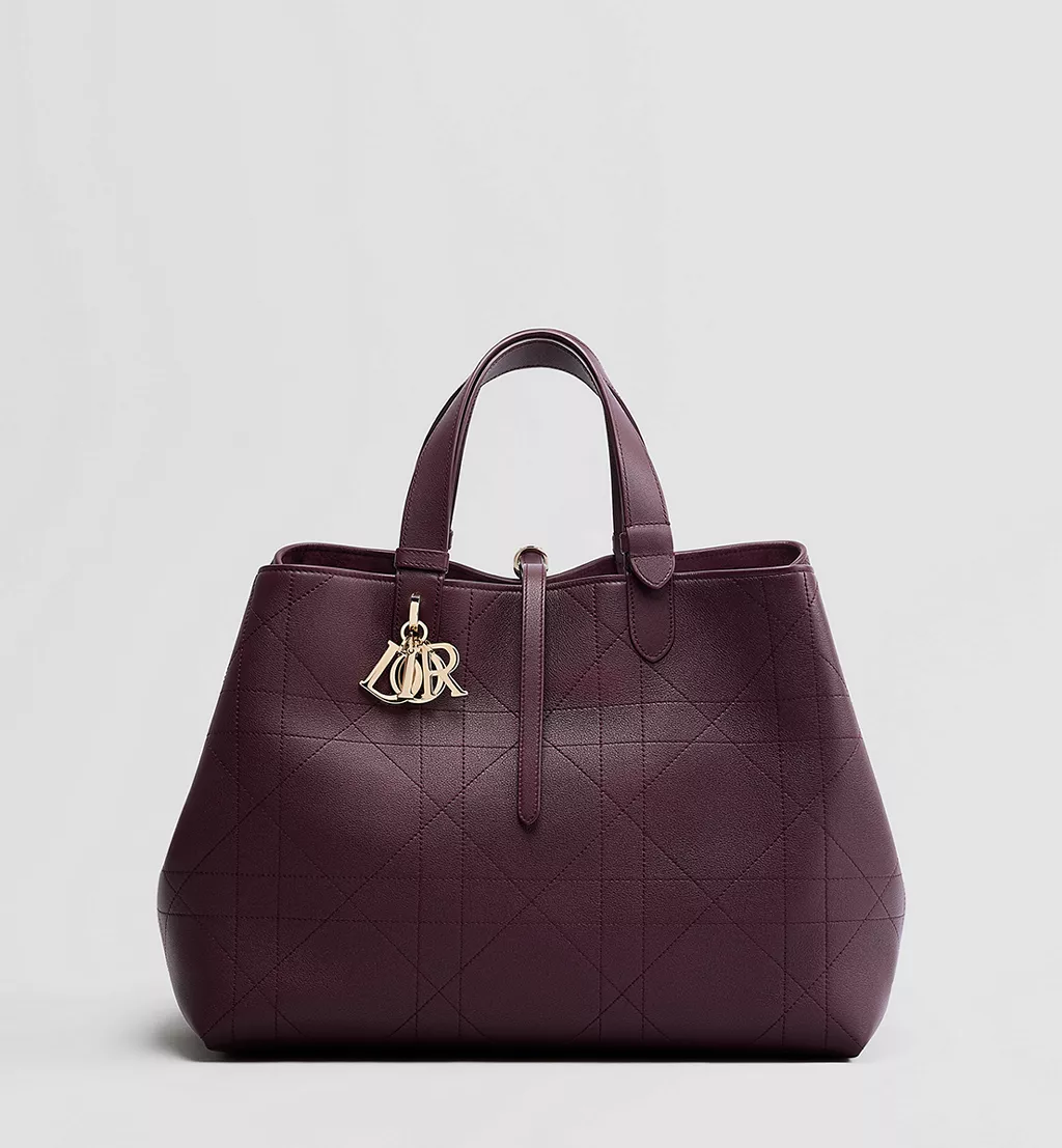 Bordeaux Dior1 Taske